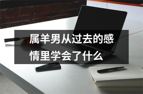 属羊男从过去的感情里学会了什么