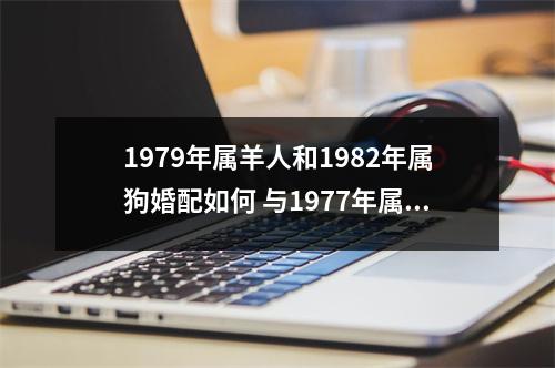 1979年属羊人和1982年属狗婚配如何与1977年属蛇相配吗