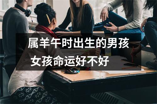 属羊午时出生的男孩女孩命运好不好