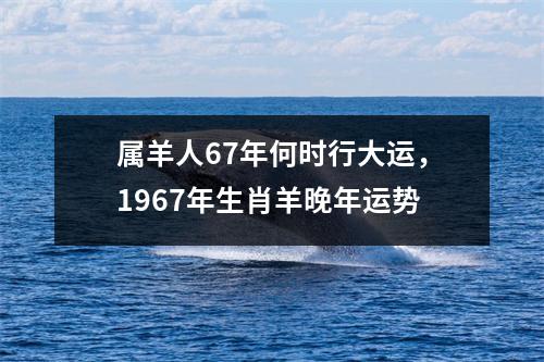 属羊人67年何时行大运，1967年生肖羊晚年运势