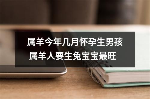 属羊今年几月怀孕生男孩属羊人要生兔宝宝旺