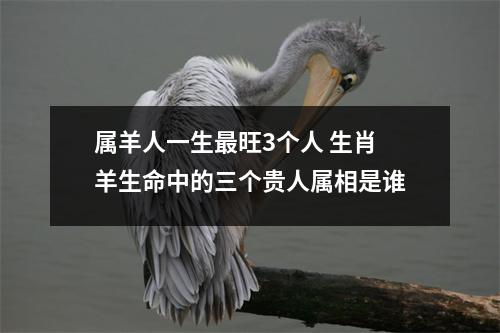 <h3>属羊人一生旺3个人生肖羊生命中的三个贵人属相是谁