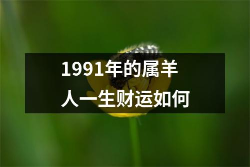 1991年的属羊人一生财运如何