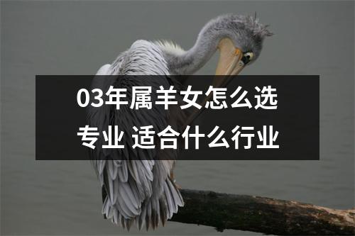 03年属羊女怎么选专业适合什么行业