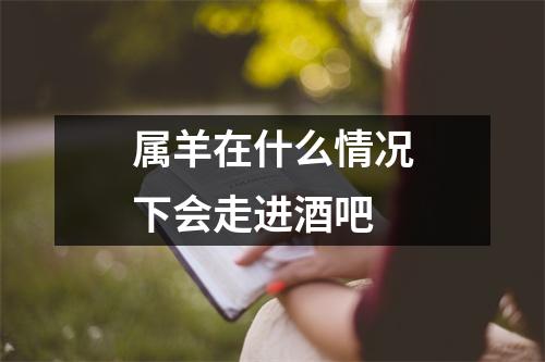 属羊在什么情况下会走进酒吧