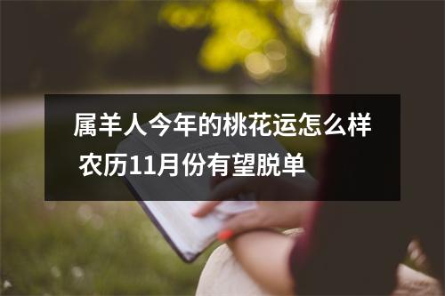 属羊人今年的桃花运怎么样农历11月份有望脱单