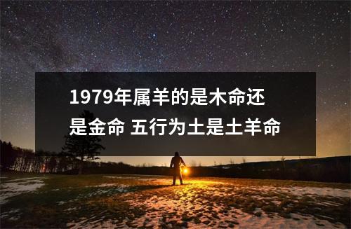 1979年属羊的是木命还是金命五行为土是土羊命