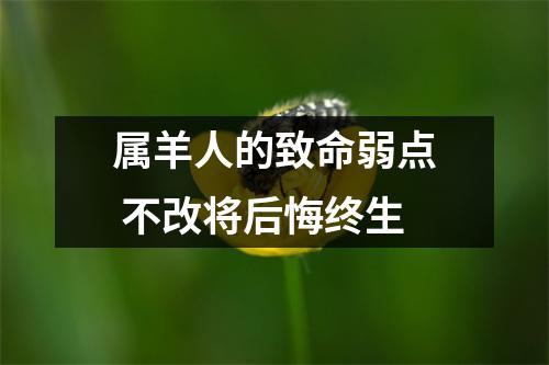 属羊人的致命弱点不改将后悔终生