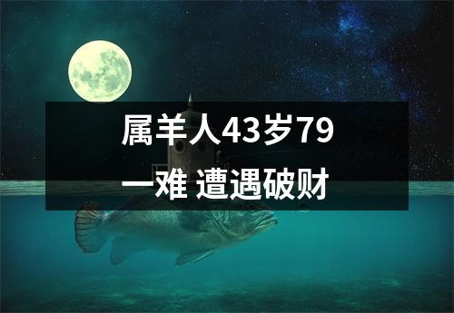 属羊人43岁79一难遭遇破财