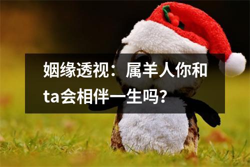 姻缘透视：属羊人你和ta会相伴一生吗？