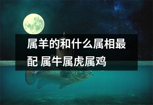 属羊的和什么属相配属牛属虎属鸡