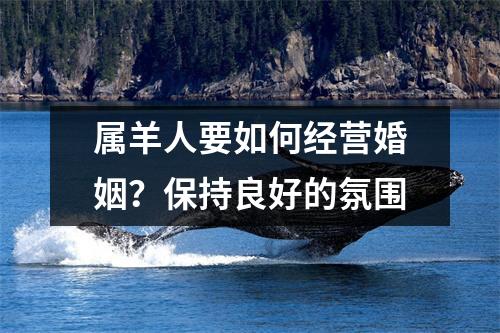 属羊人要如何经营婚姻？保持良好的氛围