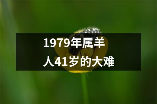 1979年属羊人41岁的大难