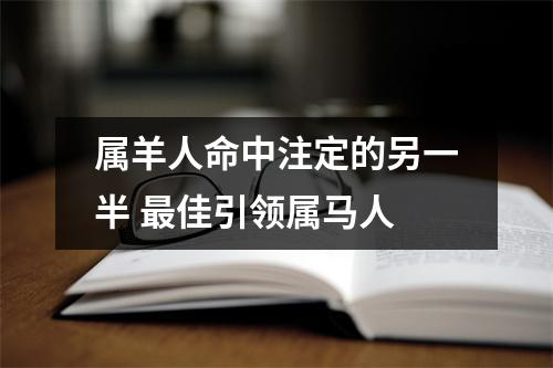 属羊人命中注定的另一半佳引领属马人