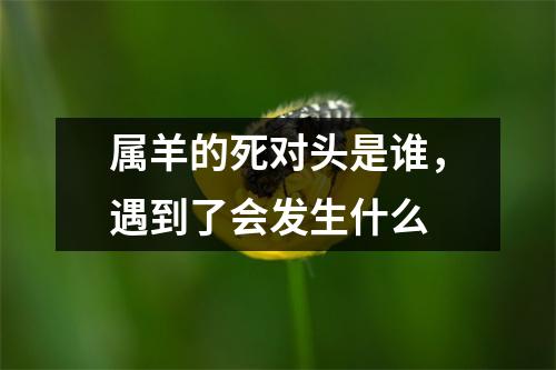 属羊的死对头是谁，遇到了会发生什么