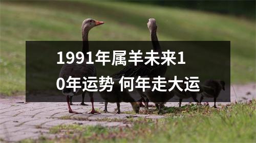 1991年属羊未来10年运势何年走大运