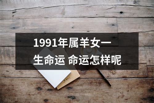 1991年属羊女一生命运命运怎样呢