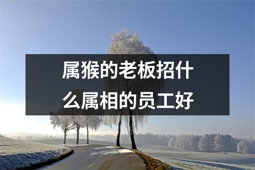 属猴的老板招什么属相的员工好