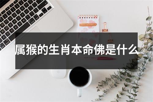 属猴的生肖本命佛是什么