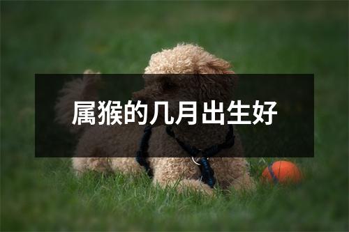 属猴的几月出生好