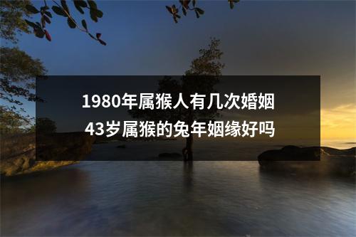 1980年属猴人有几次婚姻43岁属猴的兔年姻缘好吗