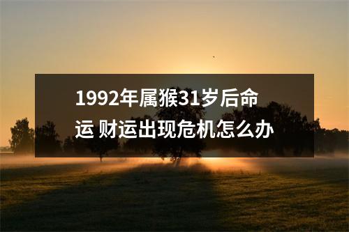 1992年属猴31岁后命运财运出现危机怎么办