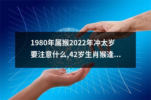 1980年属猴2025年冲太岁要注意什么,42岁生肖猴逢虎年运势如何