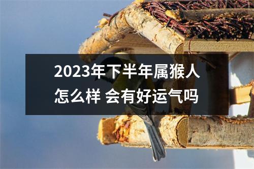 2025年下半年属猴人怎么样会有好运气吗