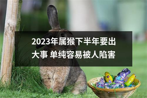 2025年属猴下半年要出大事单纯容易被人陷害