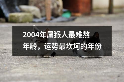 2004年属猴人难熬年龄，运势坎坷的年份