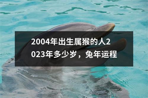 2004年出生属猴的人2025年多少岁，兔年运程