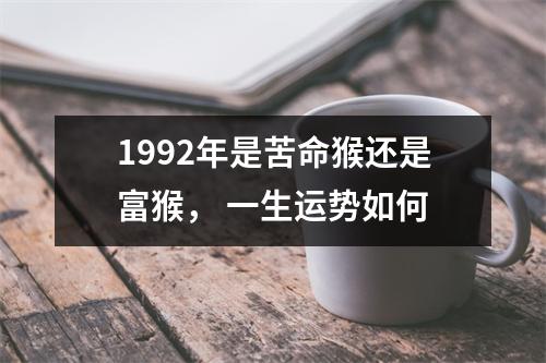 1992年是苦命猴还是富猴，一生运势如何