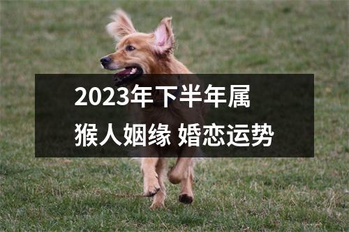 2025年下半年属猴人姻缘婚恋运势