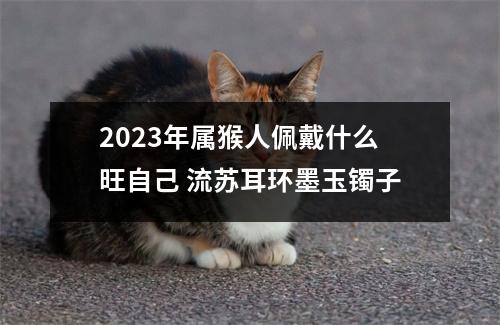 2025年属猴人佩戴什么旺自己流苏耳环墨玉镯子