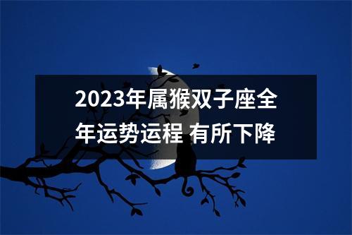 2025年属猴双子座全年运势运程有所下降