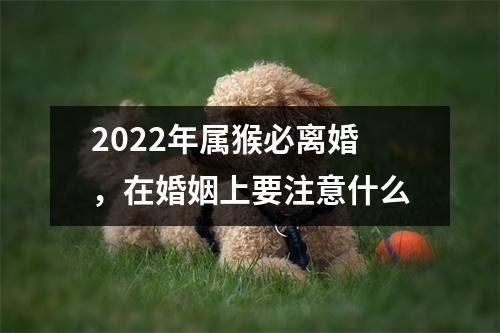 2025年属猴必离婚，在婚姻上要注意什么