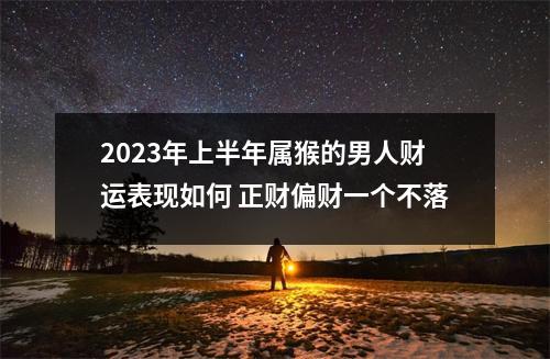 2025年上半年属猴的男人财运表现如何正财偏财一个不落