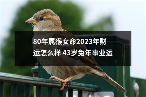 80年属猴女命2025年财运怎么样43岁兔年事业运