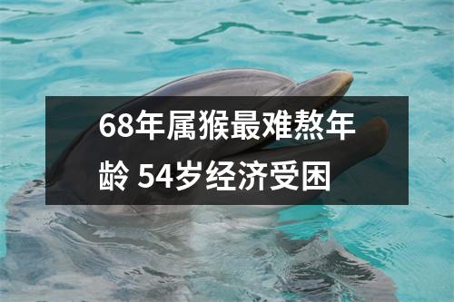 68年属猴难熬年龄54岁经济受困