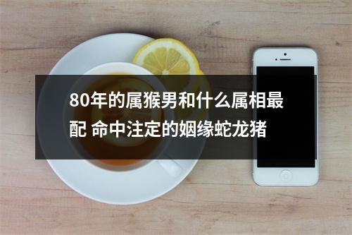 80年的属猴男和什么属相配命中注定的姻缘蛇龙猪