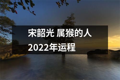 <h3>宋韶光属猴的人2022年运程