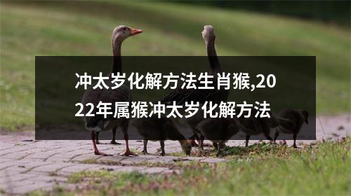 冲太岁化解方法生肖猴,2025年属猴冲太岁化解方法