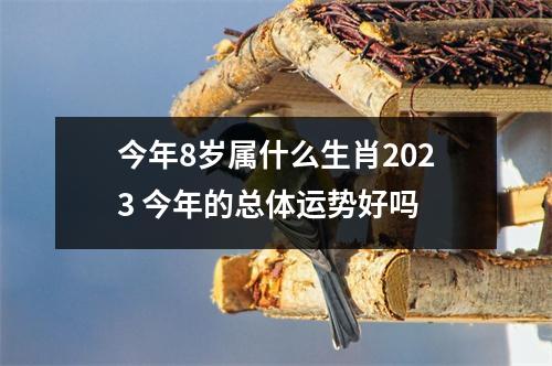 今年8岁属什么生肖2025今年的总体运势好吗