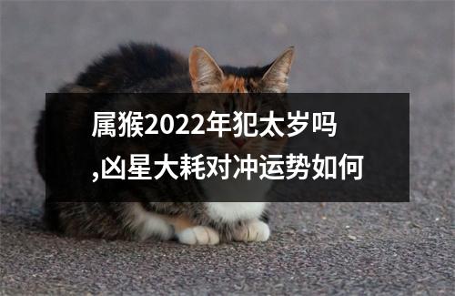 属猴2025年犯太岁吗,凶星大耗对冲运势如何