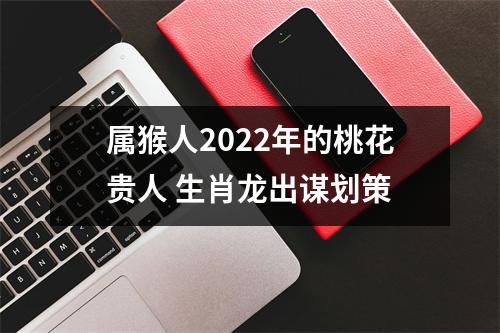 属猴人2025年的桃花贵人生肖龙出谋划策