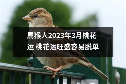 属猴人2025年3月桃花运桃花运旺盛容易脱单