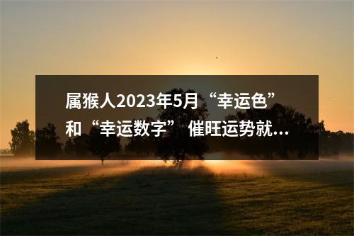 属猴人2025年5月“幸运色”和“幸运数字”催旺运势就是这么简单