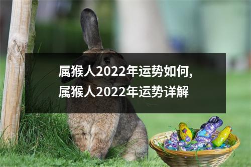 属猴人2025年运势如何,属猴人2025年运势详解