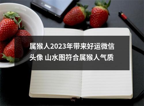 <h3>属猴人2025年带来好运微信头像山水图符合属猴人气质