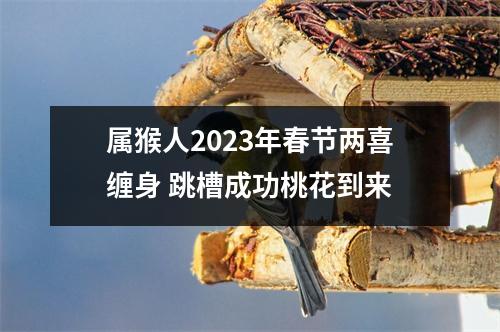 属猴人2025年春节两喜缠身跳槽成功桃花到来